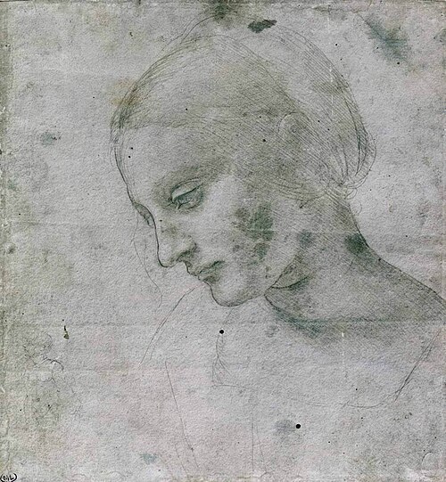 Drawings by Leonardo da Vinci